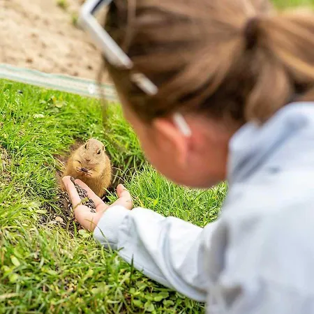 Holiday home Homola -