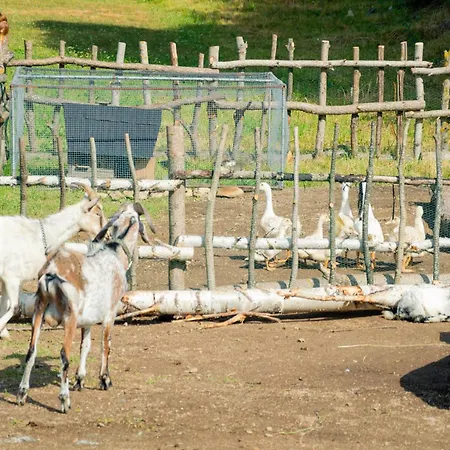 Homola - Holiday home